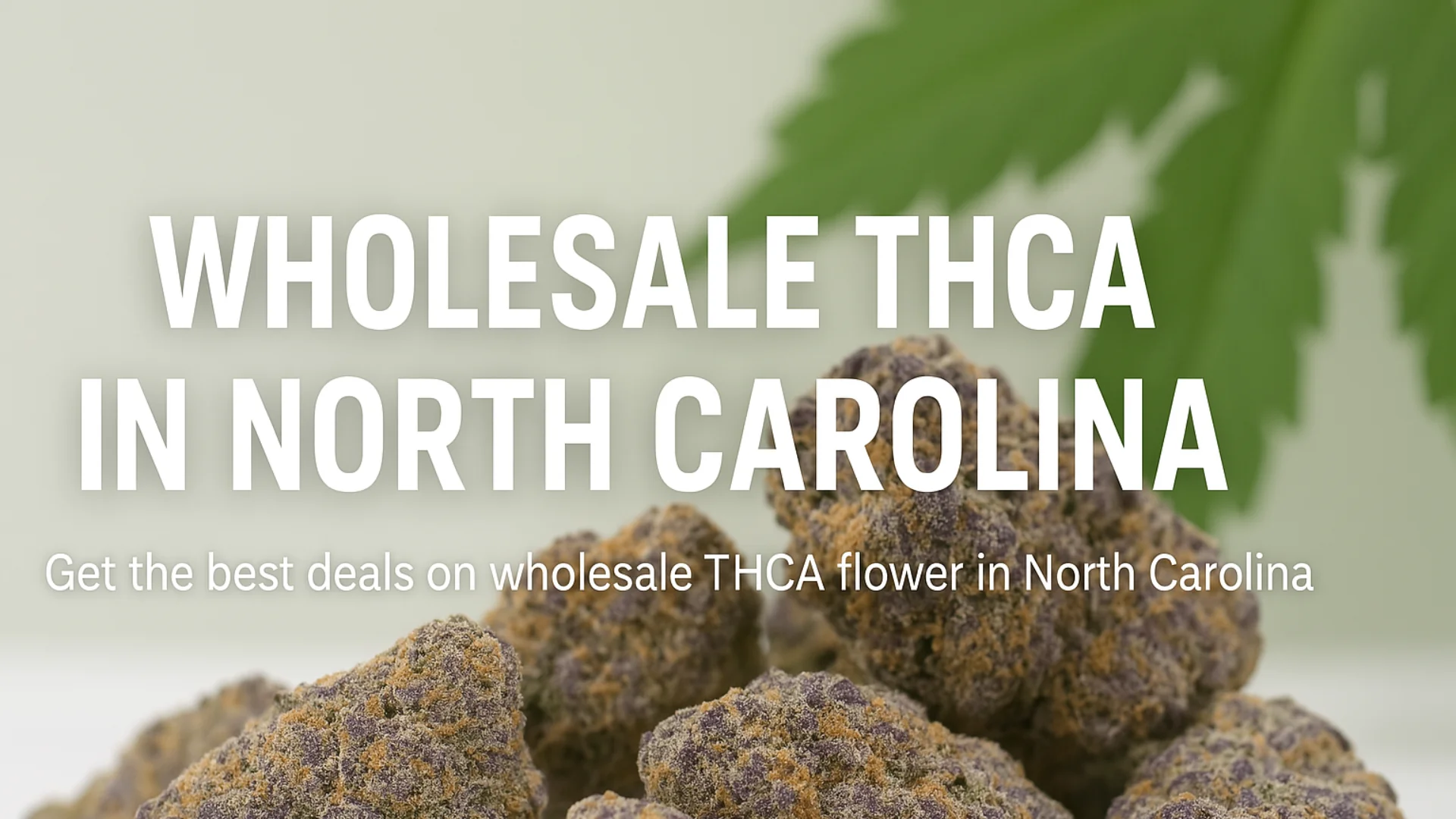 Buy Wholesale THCA in North Carolina