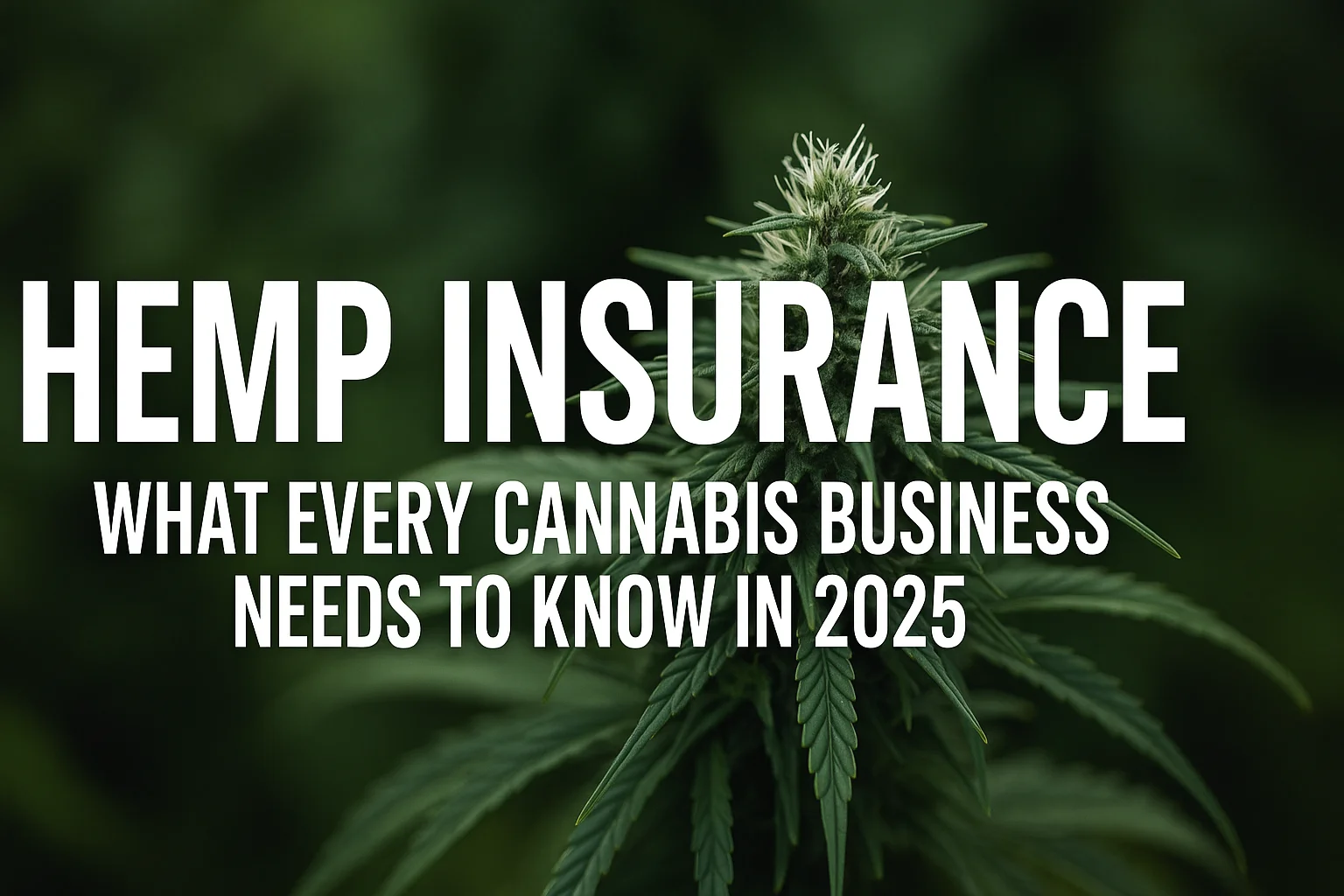 Navigating Hemp Insurance - Pro Industry Advice