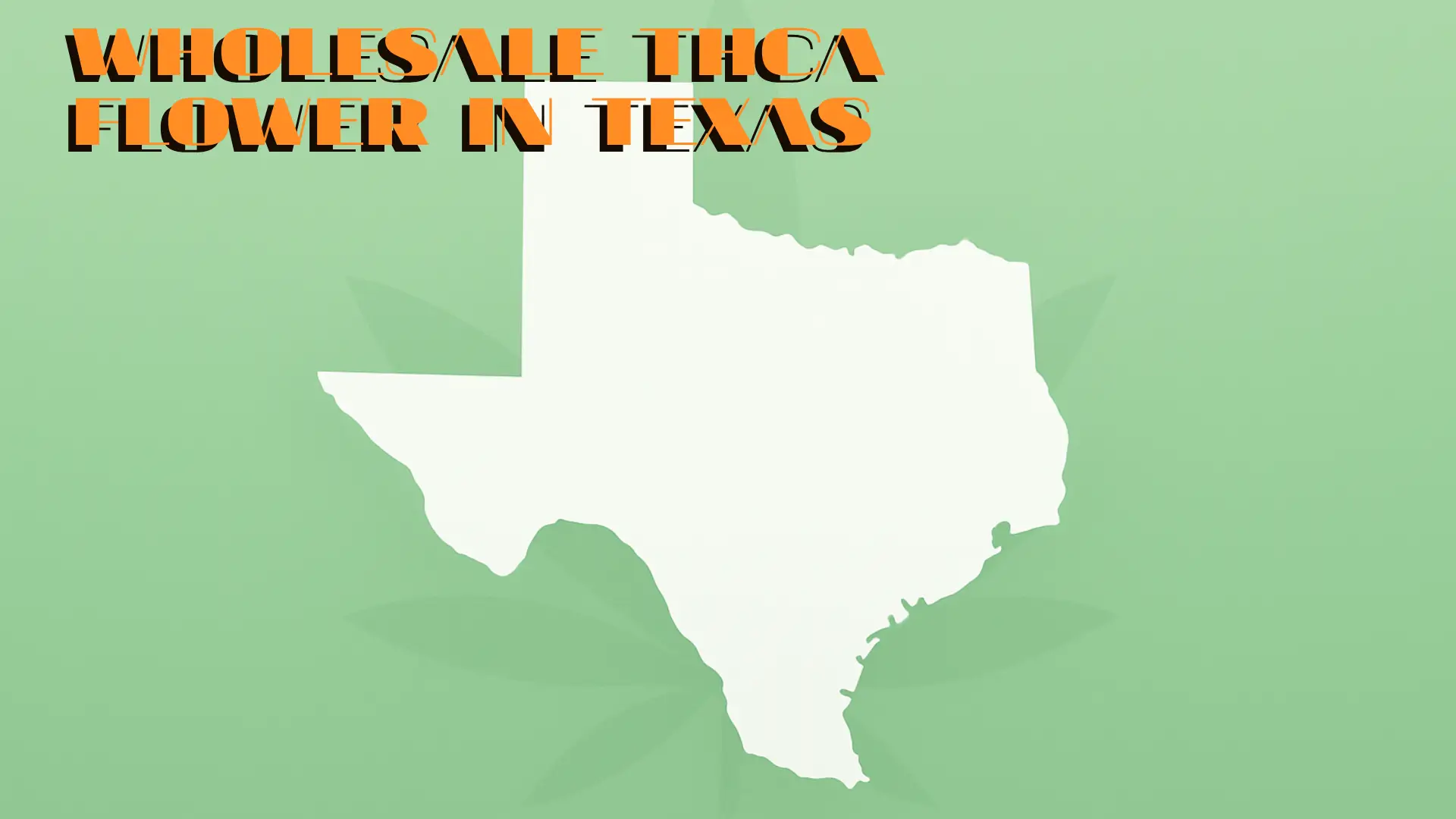 Wholesale THCA Flower in Texas