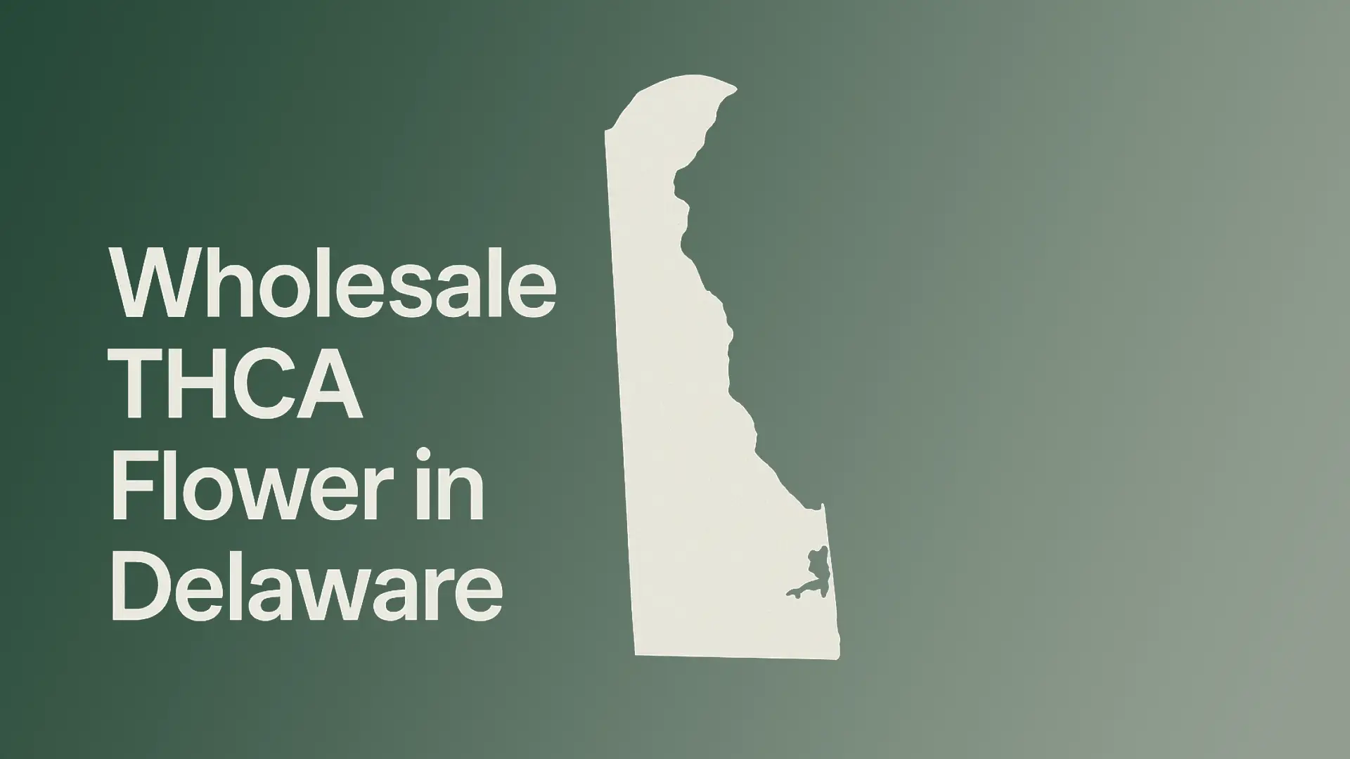 Wholesale THCA Flower in Delaware