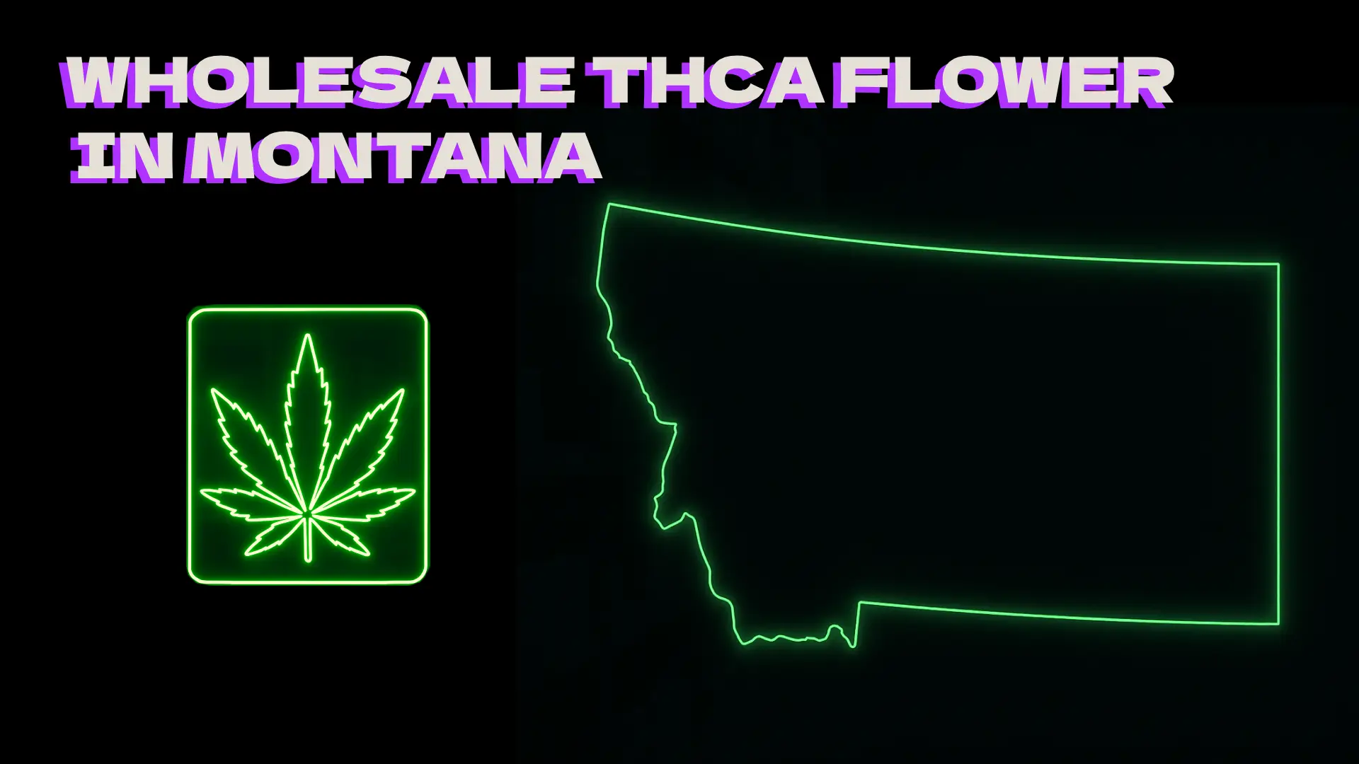 Wholesale THCA Flower in Montana