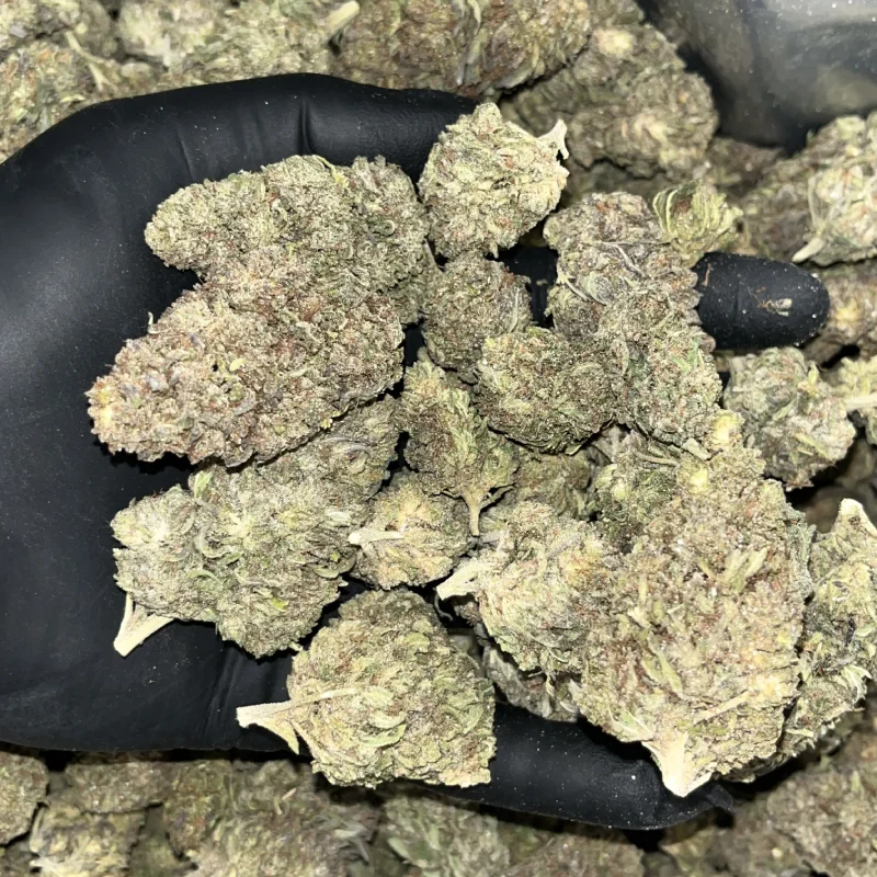 Cheap Outdoor & Greenhouse THCA Flower Pounds