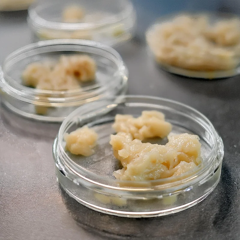 Bulk THCA Rosin