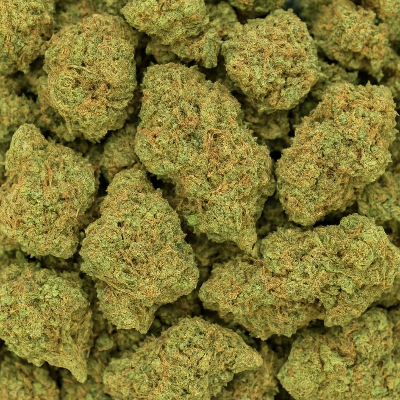 CBD Flower Bulk