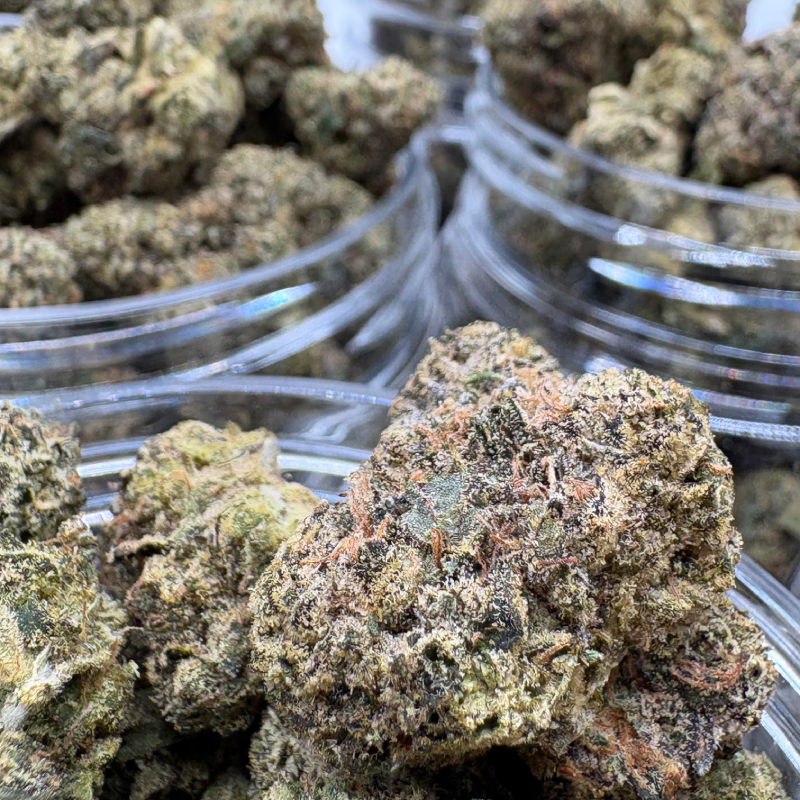 AAA Indoor THCA Flower Pounds