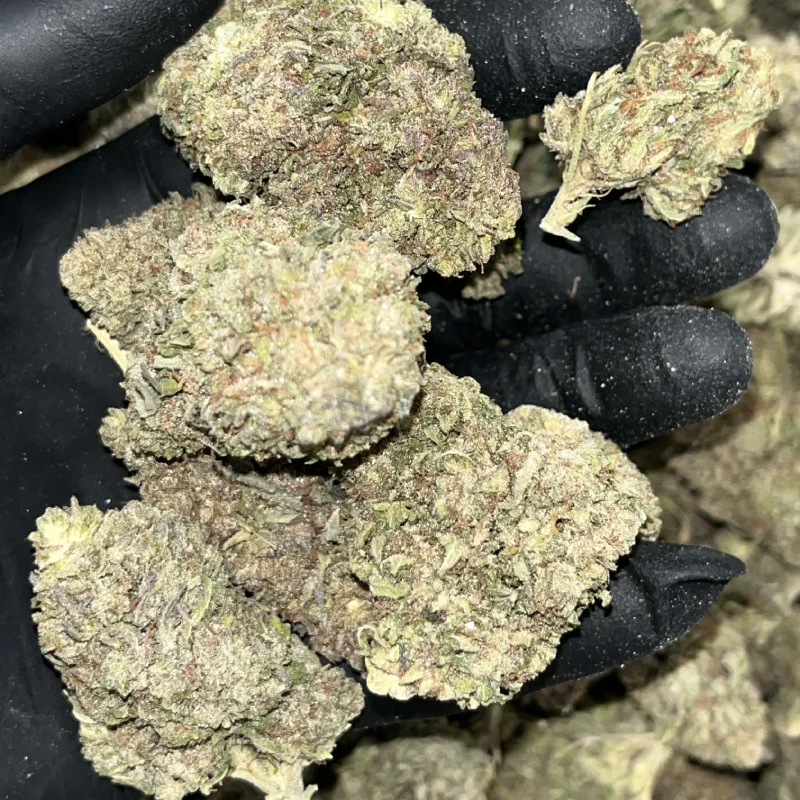 10lb+ Outdoor