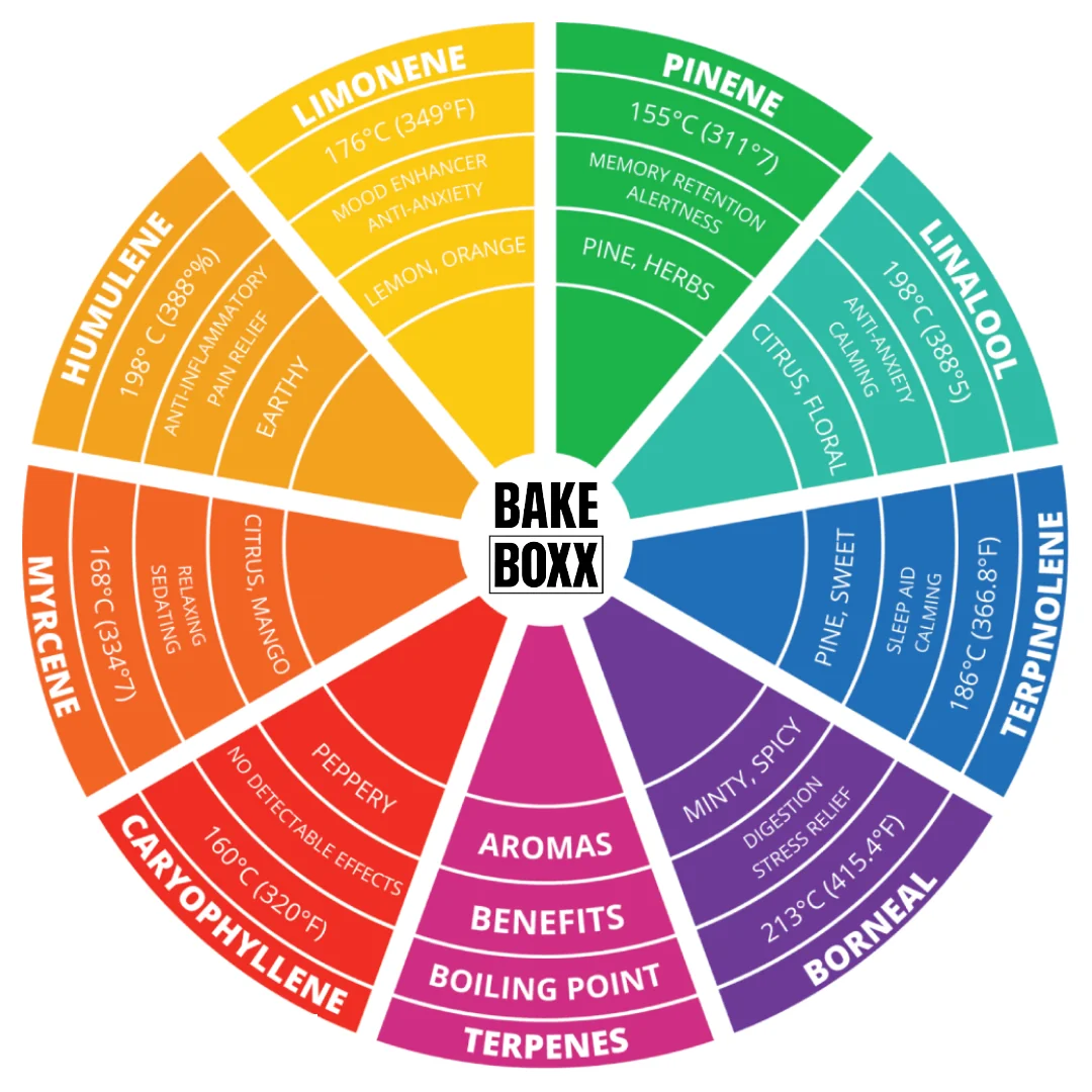 Cannabis terpene chart showing flavors, boiling points, and effects by compound